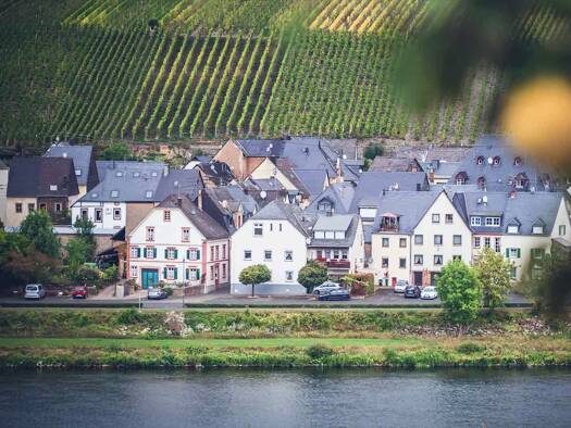 Reihenhaus zum Kauf provisionsfrei 195.000 € 4 Zimmer 75 m² Zeltingen Zeltingen-Rachtig 54492