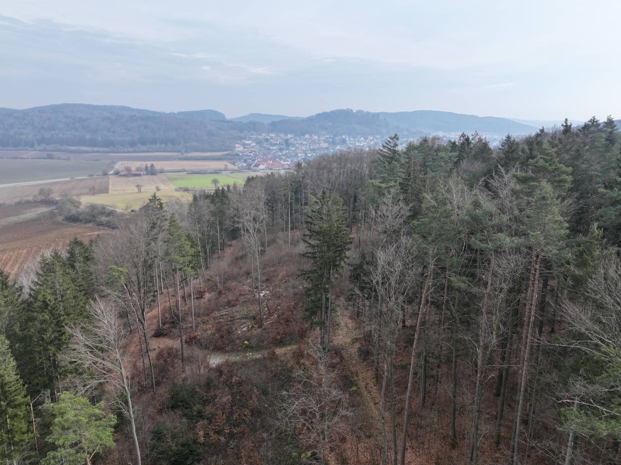 Land-/Forstwirtschaft zum Kauf - Ansicht 2