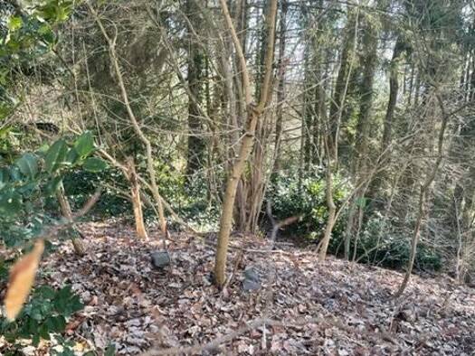 Grundstück zum Kauf 230.000 € 2.601 m² Grundstück Elversberg Spiesen -Elversberg 66583