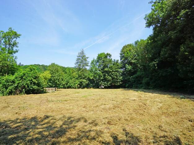 Grundstück zum Kauf 355.000 € 703 m² Grundstück Pressbaum 3021