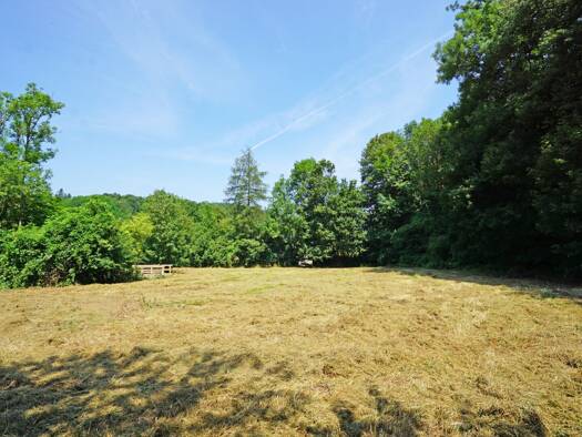 Grundstück zum Kauf 314.000 € 703 m² Grundstück Pressbaum 3021
