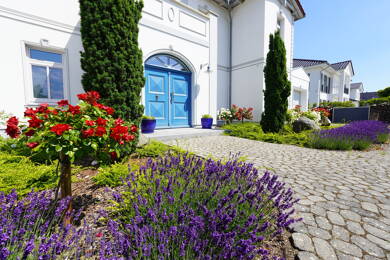 Einfamilienhaus zum Kauf 4.900.000 € 7 Zimmer 376,4 m² 2.216 m² Grundstück Kühlungsborn 18225