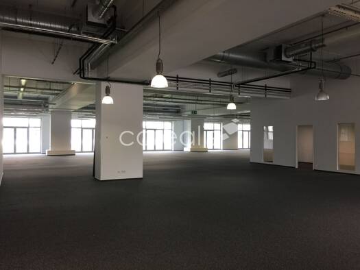 Bürofläche zur Miete provisionsfrei 9,95 € 385 m² Bürofläche Berghausen Langenfeld 40764