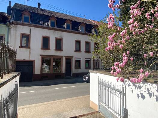 Mehrfamilienhaus zum Kauf provisionsfrei 550.000 € 19 Zimmer 360 m² 1.000 m² Grundstück frei ab sofort St. Wendel Sankt Wendel 66606