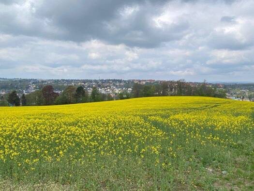 Einfamilienhaus zum Kauf provisionsfrei 459.900 € 5 Zimmer 154 m² 675 m² Grundstück Stollberg Stollberg/Erzgebirge 09366