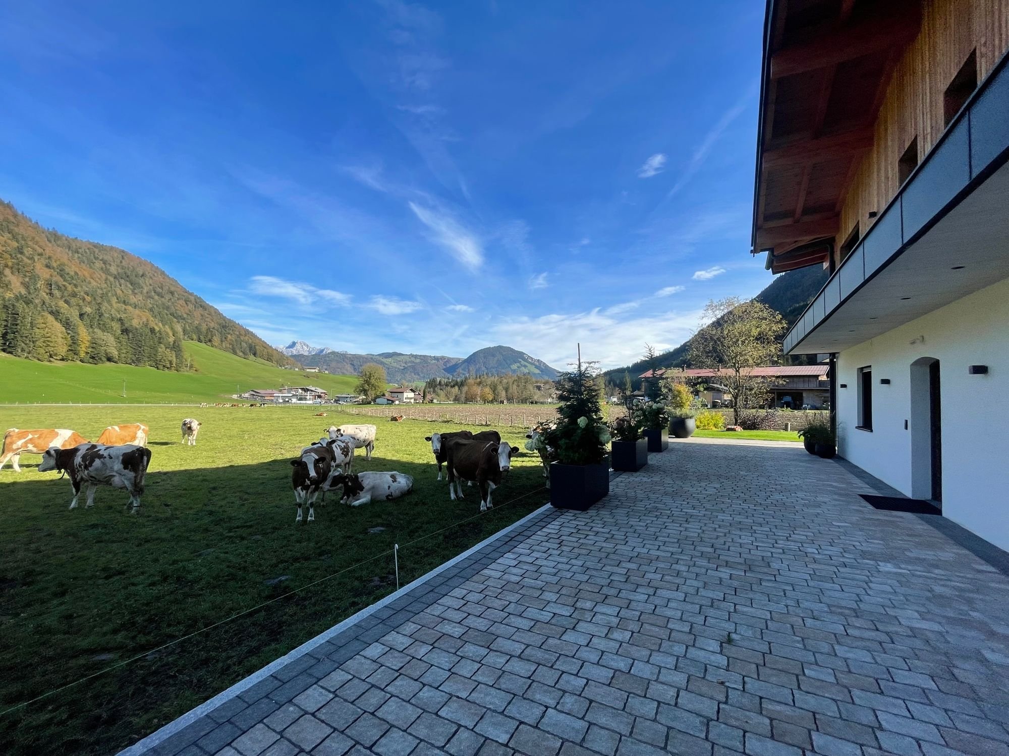 Wohnung zur Miete 1.500 € 2,5 Zimmer 75 m²<br/>Wohnfläche Kirchdorf in Tirol 6382