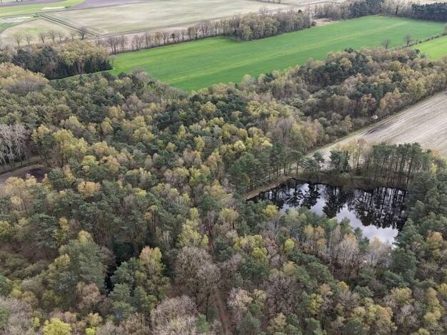 Land-/Forstwirtschaft zum Kauf 81.342 m² Grundstück Gildehaus Bad Bentheim 48455