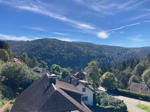 Wohnung zur Miete 560 € 3 Zimmer 75 m² Kirchbergstrasse Vordertodtmoos Todtmoos 79682