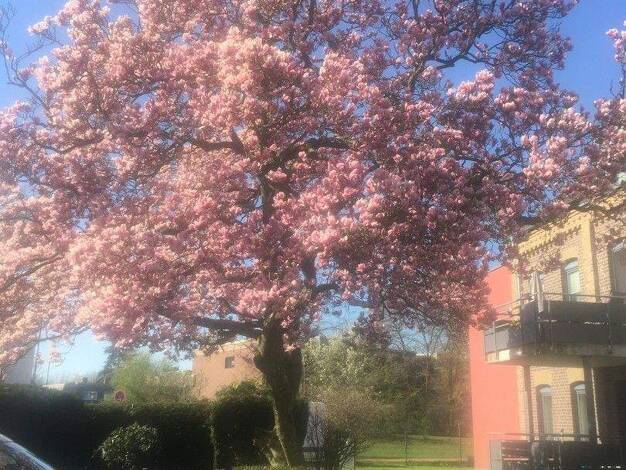 Wohnung zum Kauf provisionsfrei 364.000 € 3 Zimmer 84,7 m² 2. Geschoss Am Dreieck 17 Kaarst-Mitte Kaarst 41564