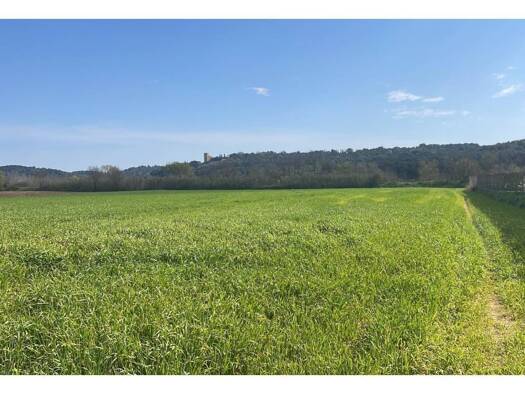 Wohn- und Gewerbegrundstück zum Kauf 255.000 € Paralel 1 la Bisbal d'Empordà 17100