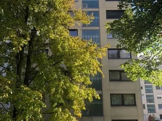 Studio zur Miete 260 € 1 Zimmer 26,1 m² frei ab sofort Johann-Georg-Fahr-Straße 14 Gottmadingen 78244