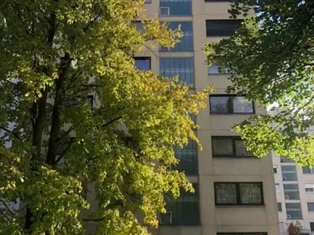 Studio zur Miete 260 € 1 Zimmer 26,1 m² frei ab sofort Johann-Georg-Fahr-Straße 14 Gottmadingen Gottmadingen 78244