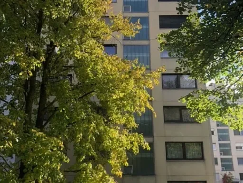 Studio zur Miete 260 € 1 Zimmer 26,1 m² frei ab 01.05.2025 Johann-Georg-Fahr-Straße 14 Gottmadingen Gottmadingen 78244