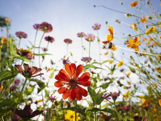 Einfamilienhaus zum Kauf provisionsfrei 1.700.000 € 5 Zimmer 222,9 m² 689 m² Grundstück Westend Berlin 14055