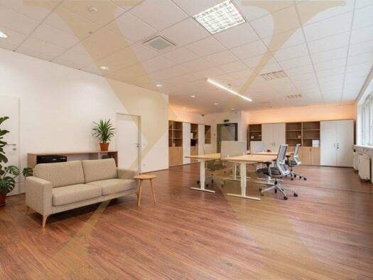 Büro zur Miete 1.400 € Semmelweisstraße Lustenau Linz 4020