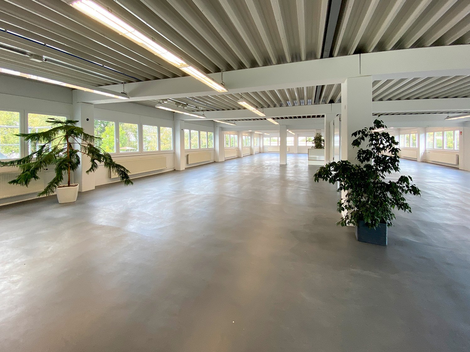 Lagerhalle zur Miete provisionsfrei 520 m²<br/>Lagerfläche Lächle 3 Nehren 72147