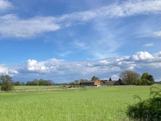 Wohnung zur Miete 430 € 2 Zimmer 48 m² Geschoss 1/2 frei ab 01.06.2026 Heinersdorf Steinhöfel 15306