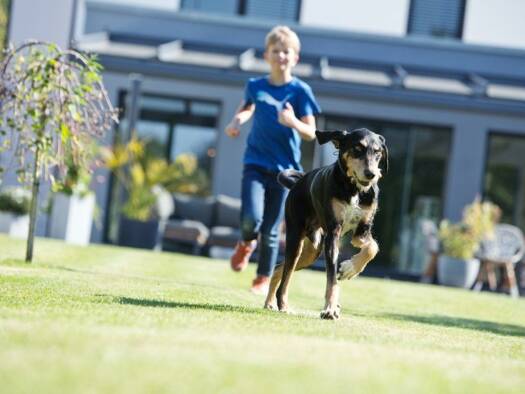 Einfamilienhaus zum Kauf 382.175 € 4 Zimmer 135 m² 830 m² Grundstück Oschersleben Oschersleben (Bode) 39387