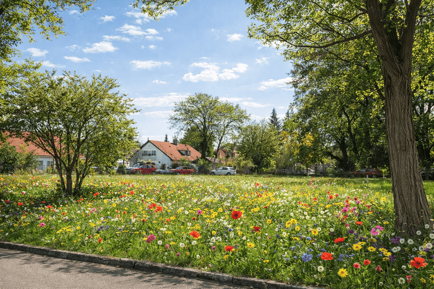 Mehrfamilienhaus zum Kauf – další
