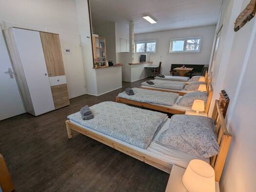 Studio zur Miete Wohnen auf Zeit 4.864 € 1 Zimmer 50 m² frei ab sofort Linz 4481