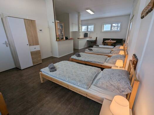 Wohnung zur Miete auf Zeit 4.864 € 1 Zimmer 50 m² frei ab sofort Linz 4481