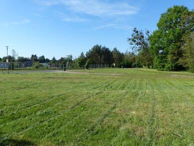 Grundstück zum Kauf provisionsfrei 48.000 € 770 m² Grundstück Waldsiedlung 1b Torgelow Torgelow 17358
