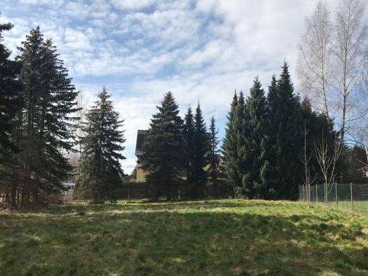 Grundstück zum Kauf provisionsfrei 69.000 € 1.708 m² Grundstück Meisenweg Stelzendorf Chemnitz 09112