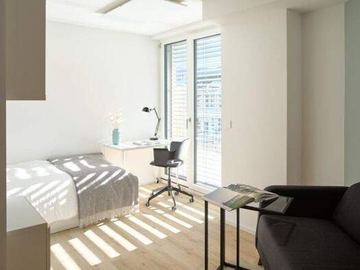 Wohnung zur Miete - Erstbezug 860 € 1 Zimmer 23,3 m² EG Altstadt Freiburg im Breisgau 79098