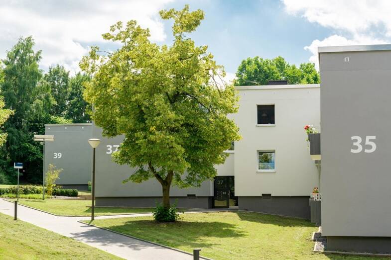 Wohnung zur Miete 400 € 2 Zimmer 45,8 m² frei ab 24.05.2025 Steinfurtweg 35 Kirchlinde Dortmund 44379