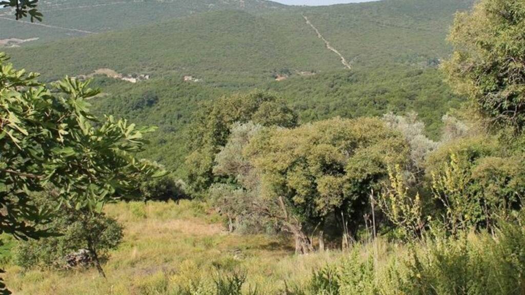 Haus zum Kauf 330.000 € 4 Zimmer 270 m² 18.000 m² Grundstück Kreis Ulcinj 85360