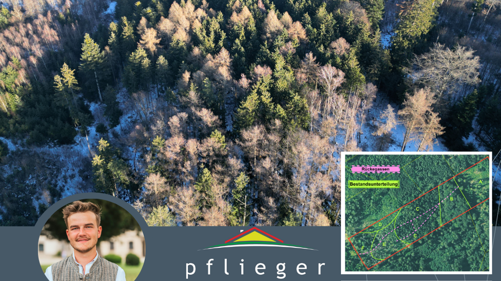 Forstwirtschaft zum Kauf 182.000 € 45.500 m² Grundstück Sankt Salvator Bad Griesbach i.Rottal 94086