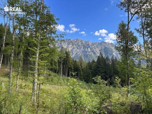 Land-/Forstwirtschaft zum Kauf 73.417 m² Grundstück Gröbming 8962