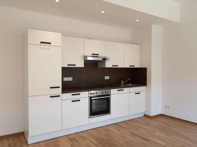 Wohnung zur Miete 475 € 2 Zimmer 46,6 m² 1. Geschoss frei ab sofort Merseburger Straße 96 Lutherplatz Halle (Saale) 06110