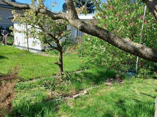 Grundstück zum Kauf provisionsfrei 147.000 € 357 m² Grundstück frei ab sofort Wartenberg Lichtenberg 13059