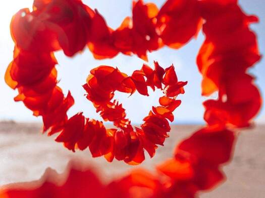 Doppelhaushälfte zum Kauf 600.900 € 4 Zimmer 107,6 m² 370 m² Grundstück Langenhorn Hamburg 22417