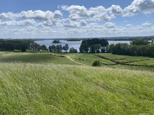 Grundstück zum Kauf provisionsfrei 61.000 € 1.089 m² Grundstück gmina Siemień 11-300