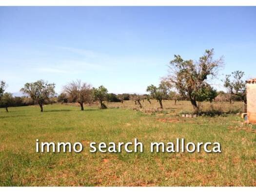 Grundstück zum Kauf provisionsfrei 320.000 € 45.500 m² Grundstück Arta 07570