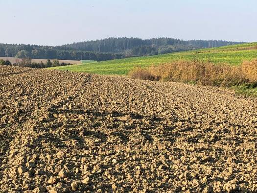 Landwirtschaftliche Fläche zum Kauf 49.494 m² Grundstück Hinzlbach Weng 84187