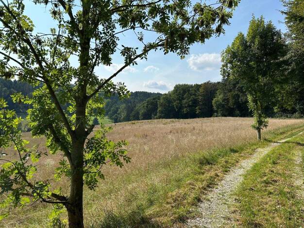 Land-/Forstwirtschaft zum Kauf 283.000 € 18.230 m² Grundstück Lengthal Moosthenning 84164