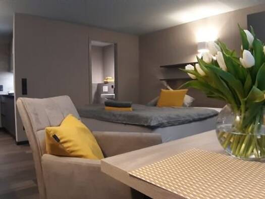 Studio zur Miete Wohnen auf Zeit 859 € 1,5 Zimmer 26 m² frei ab 01.09.2025 Friedrich-Tritschler-Straße 2 Kirchheim Kirchheim unter Teck 73230