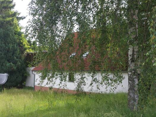 Einfamilienhaus zum Kauf 150.000 € 8,5 Zimmer 182 m² 3.891 m² Grundstück frei ab sofort Hohenmölsen Hohenmölsen 06679