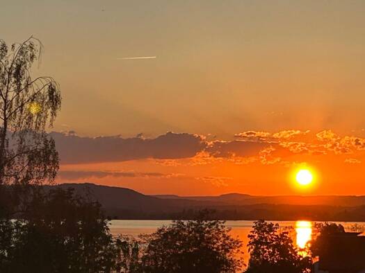 Wohnung zur Miete 750 € 2 Zimmer 55 m² Geschoss 2/3 frei ab 01.01.2026 Sipplingen 78354