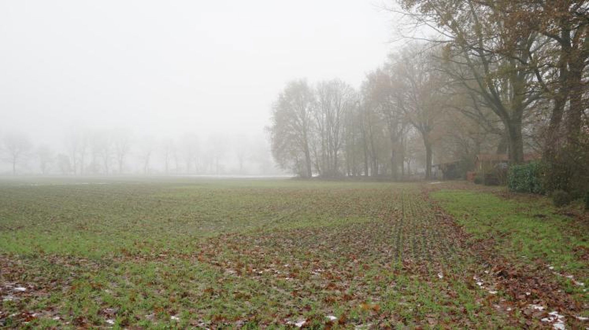 Gewerbegrundstück zum Kauf provisionsfrei 2.018 m²<br/>Grundstück Ampfing Ampfing 84539