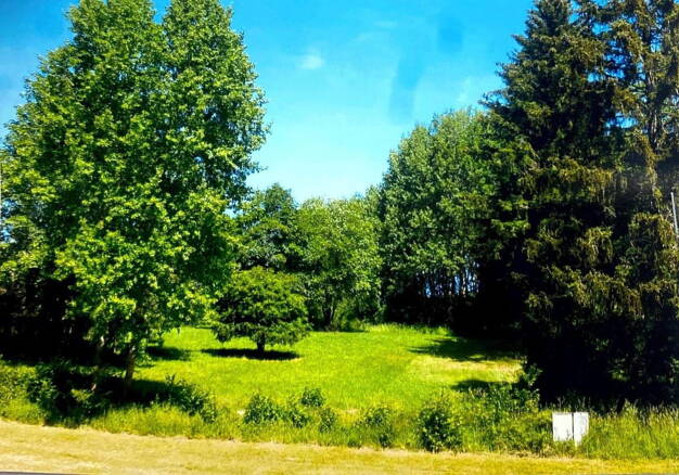 Grundstück zum Kauf provisionsfrei 98.600 € 1.508 m² Grundstück Vor der Emmet 16 Usseln Willingen OT Usseln 34508