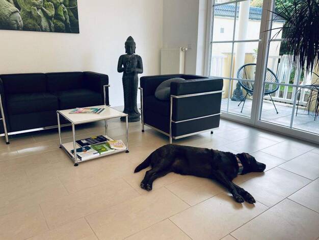 Bürofläche zur Miete provisionsfrei 400 € 20 m² Bürofläche Schloßstr. 26 Neuhausen auf den Fildern 73765