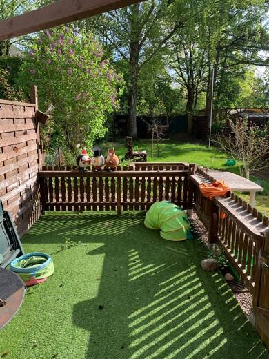 Terrassenwohnung zur Miete 500 € 3 Zimmer 62,4 m² EG frei ab 01.06.2025 Innenstadt Neumünster 24534