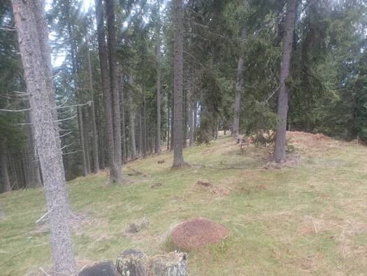 Land-/Forstwirtschaft zum Kauf 41.050 m² Grundstück Verditz 9542