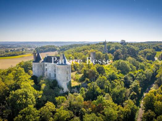 Schloss zum Kauf 990.000 € 16 Zimmer 1.010 m² 109.456 m² Grundstück École Joseph Bara-Groupe scolaire Carnot-Hôtel de Ville Agen 47000