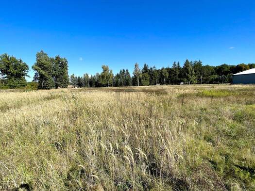 Gewerbegrundstück zum Kauf 482.000 € 5.350 m² Grundstück Lachendorf 29331