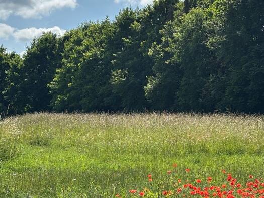 Grundstück zum Kauf 396.000 € 2.500 m² Grundstück Baugenehmigung vorhanden frei ab sofort Niederwerrn Niederwerrn 97464